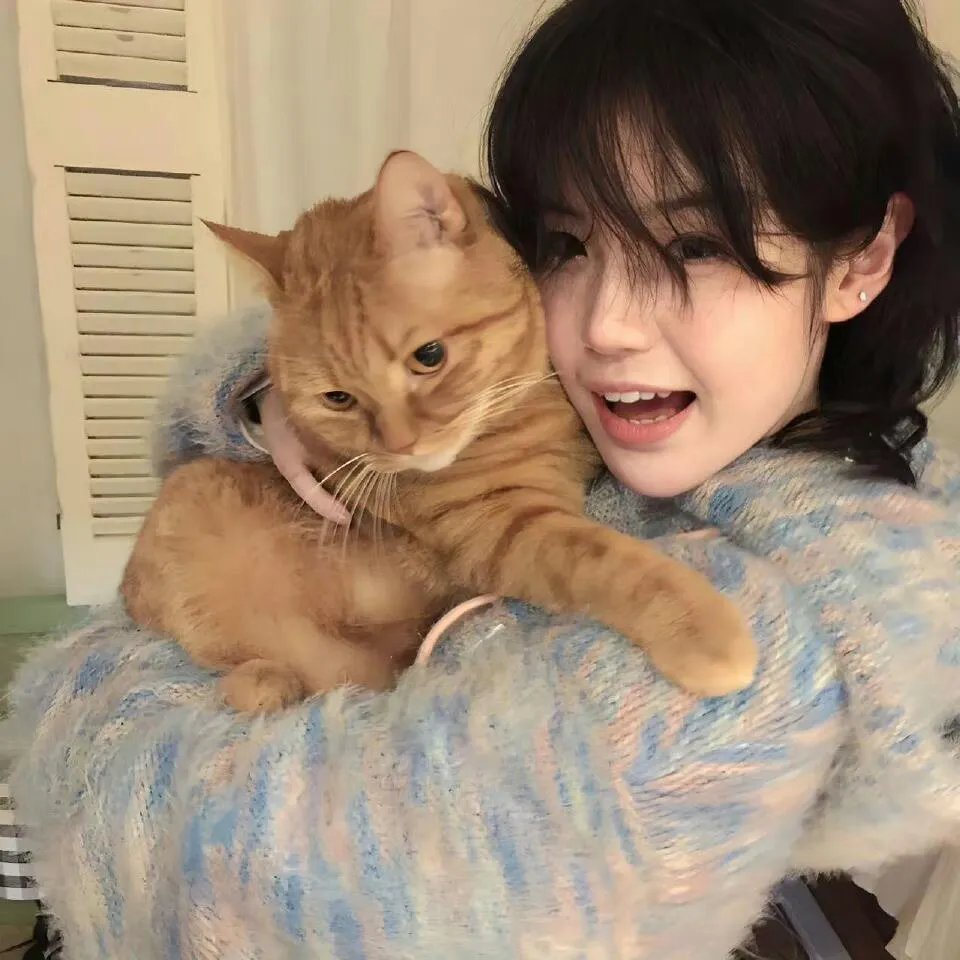 深情沦陷傅先生他超爱