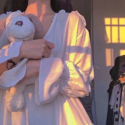 暴太郎战队DON BROTHERS